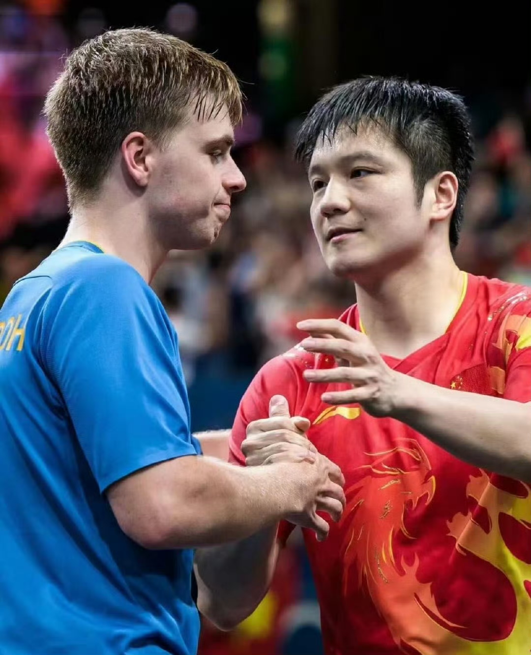 德国队鏖战瑞典队,樊振东高光表现 德国队鏖战瑞典队,樊振东高光表现