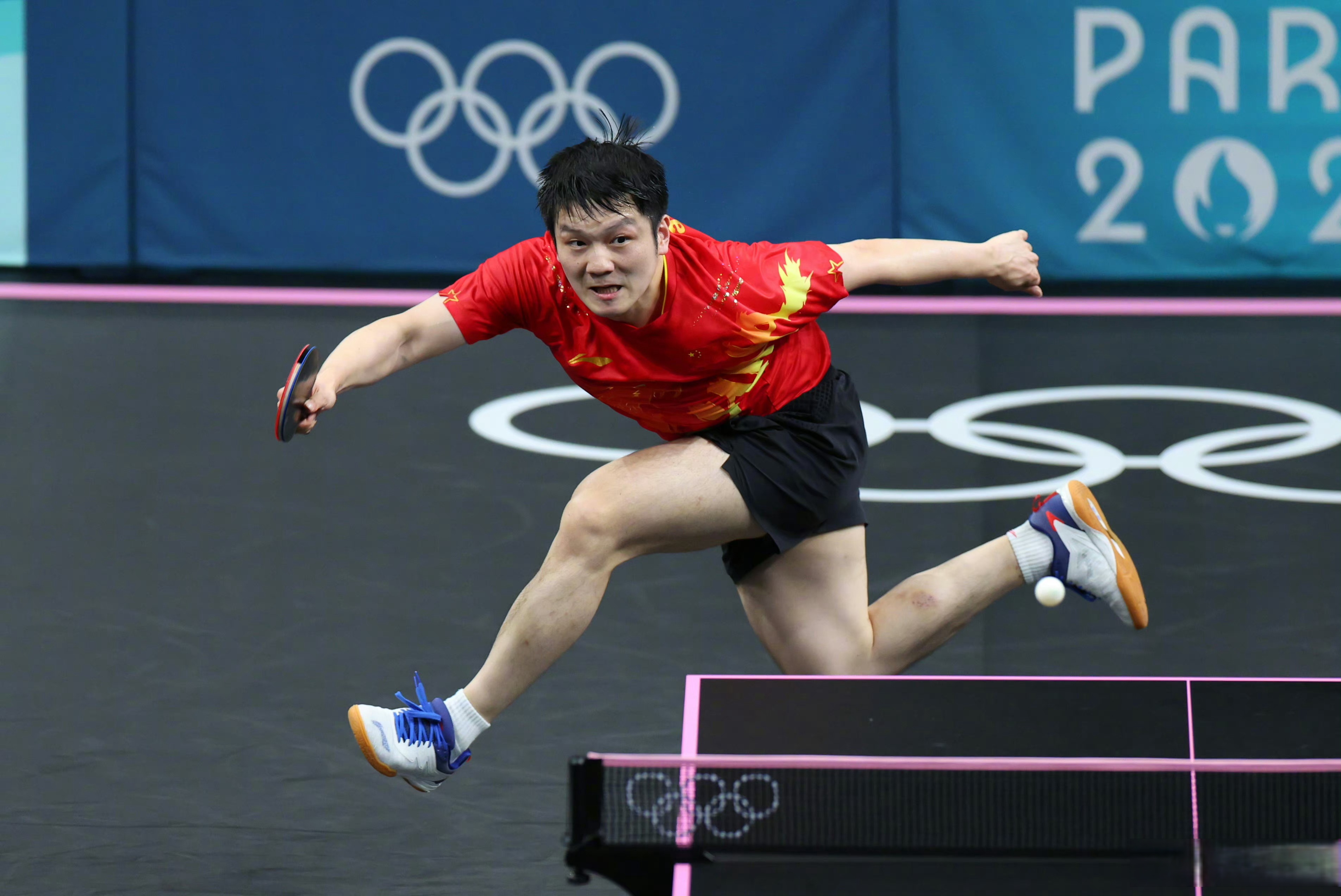 德国队鏖战瑞典队,樊振东高光表现 德国队鏖战瑞典队,樊振东高光表现